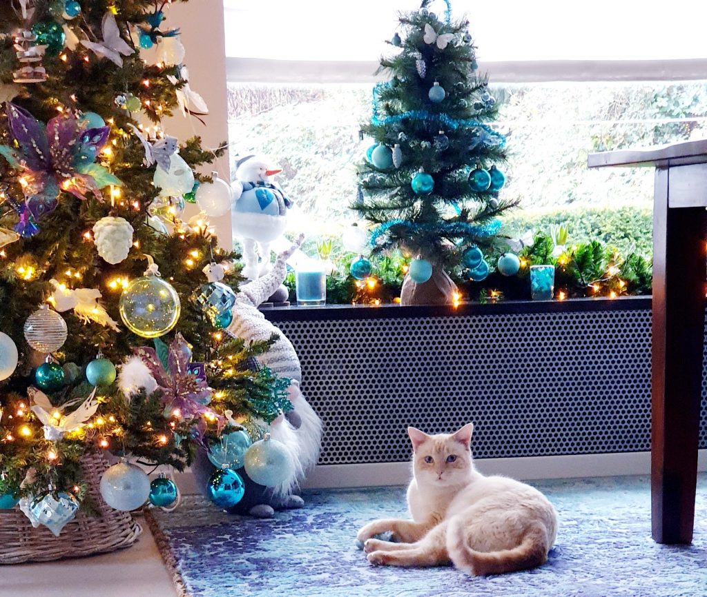 Als je net als ik nog aan het zoeken bent naar je Xmasspirit, heb ik hier een goeie tip!